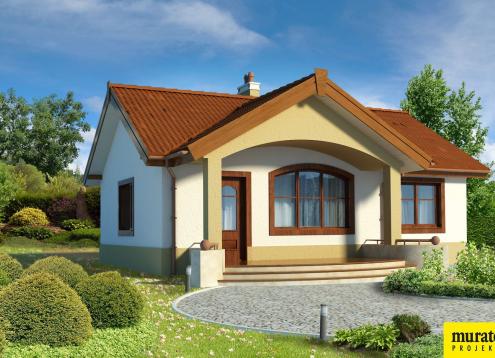 № 1383 Купить Проект дома Даинти. Закажите готовый проект № 1383 в Новосибирске, цена 22835 руб.